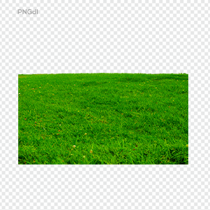 Grass field Png Image