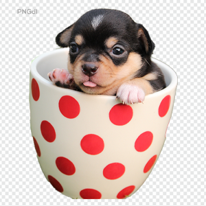 Cute Dog Png Image