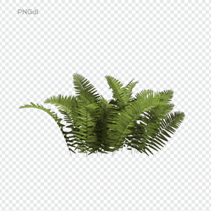 Plants Free PNG Images