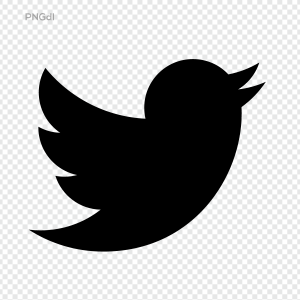 Twitter Logo Transparent Png Image